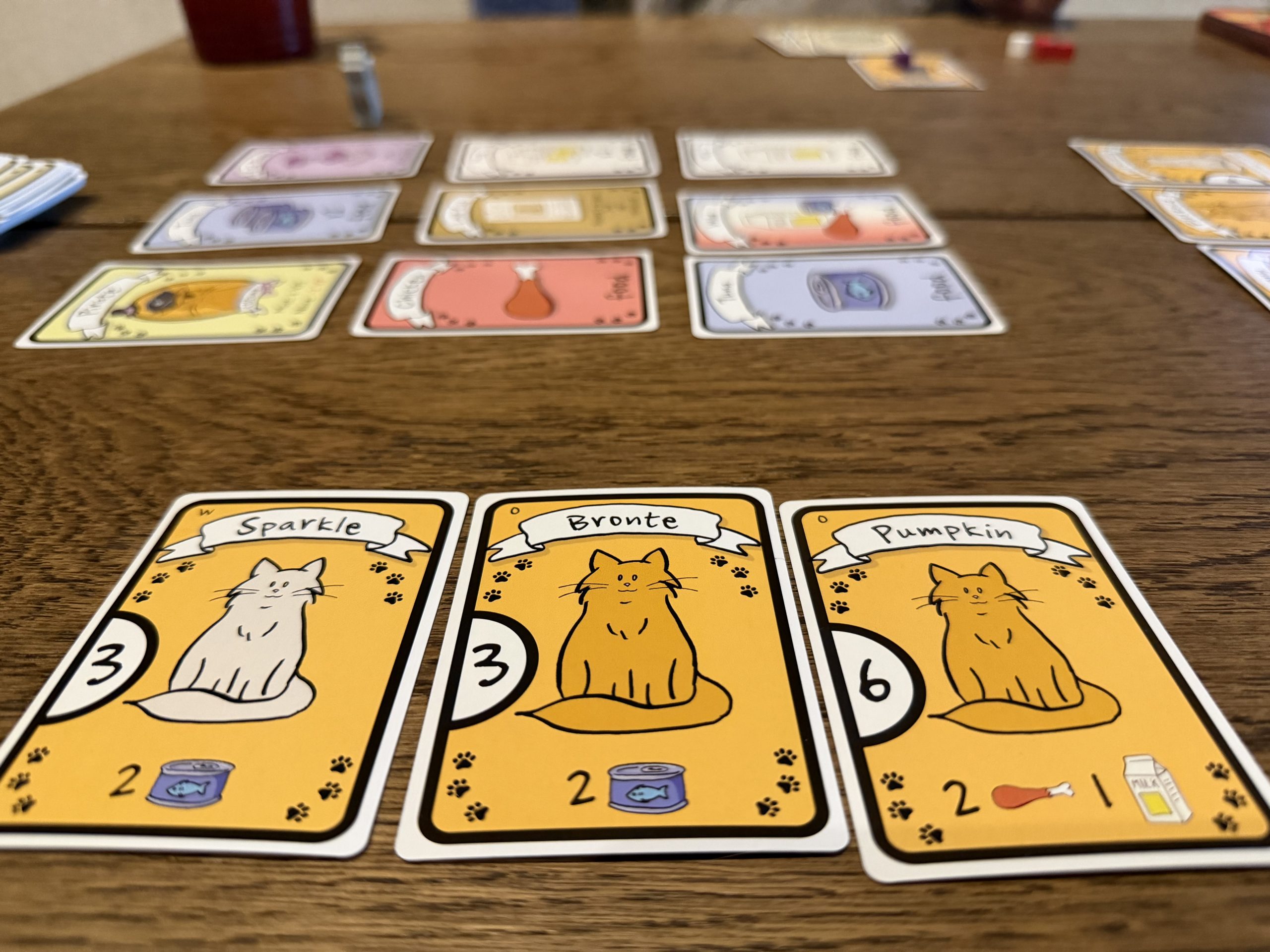Cat Lady